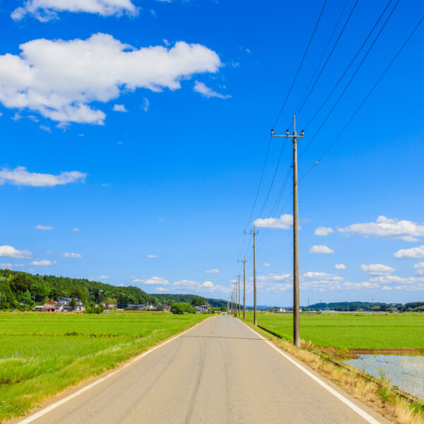 和歌山｜道路使用許可｜道路占用許可