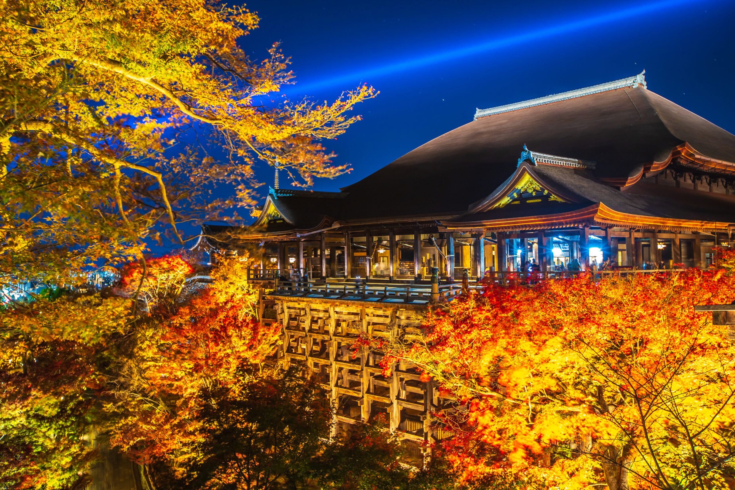 京都|旅行業
