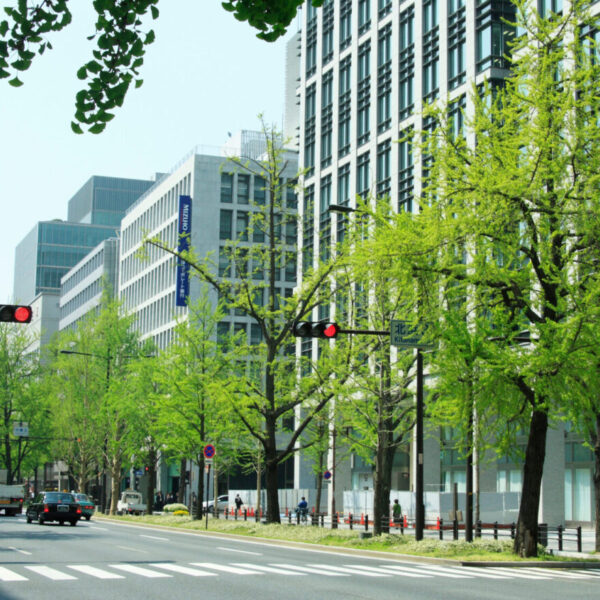 道路使用許可・道路占用許可