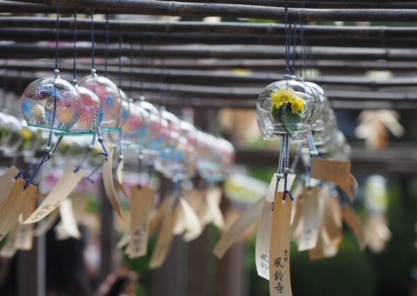 京都で行政書士業務